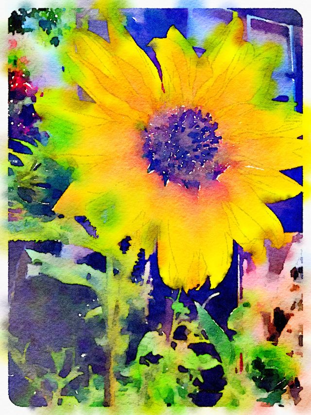 Sunflower art