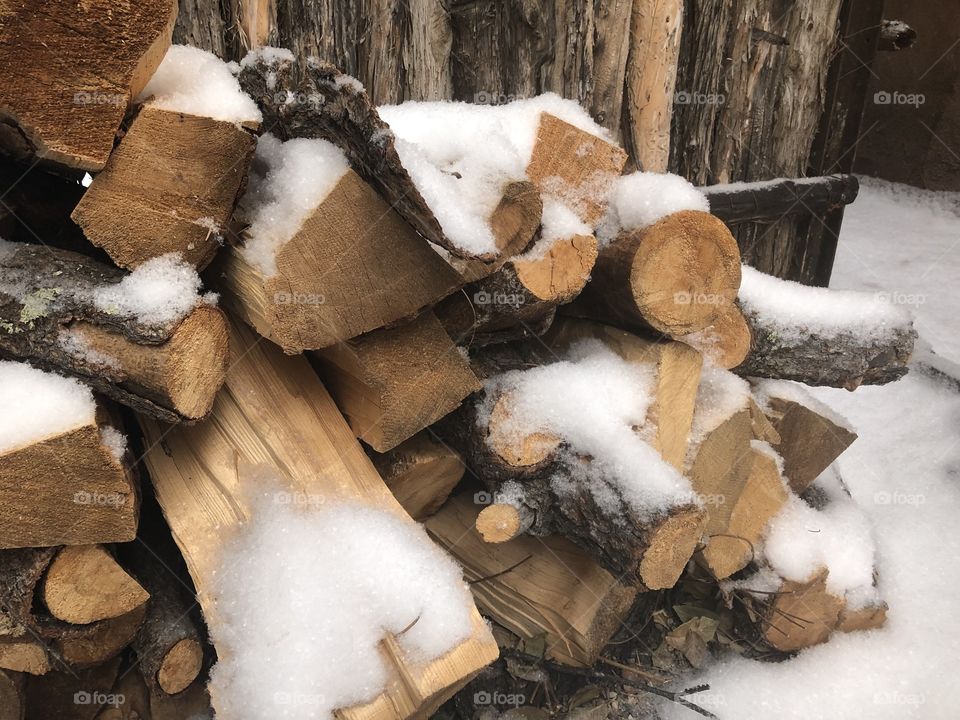 Snowy Logs