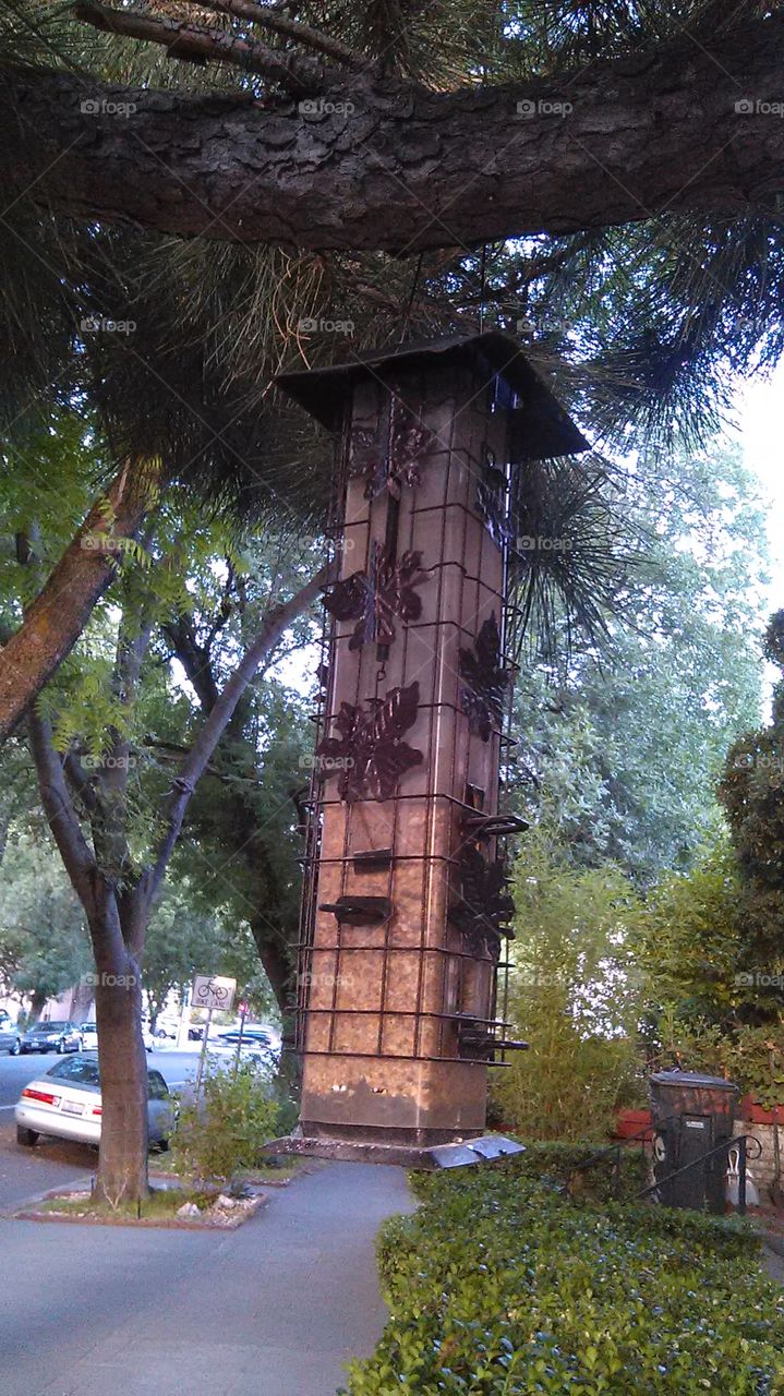 Pine tree bird house. Out for a walk