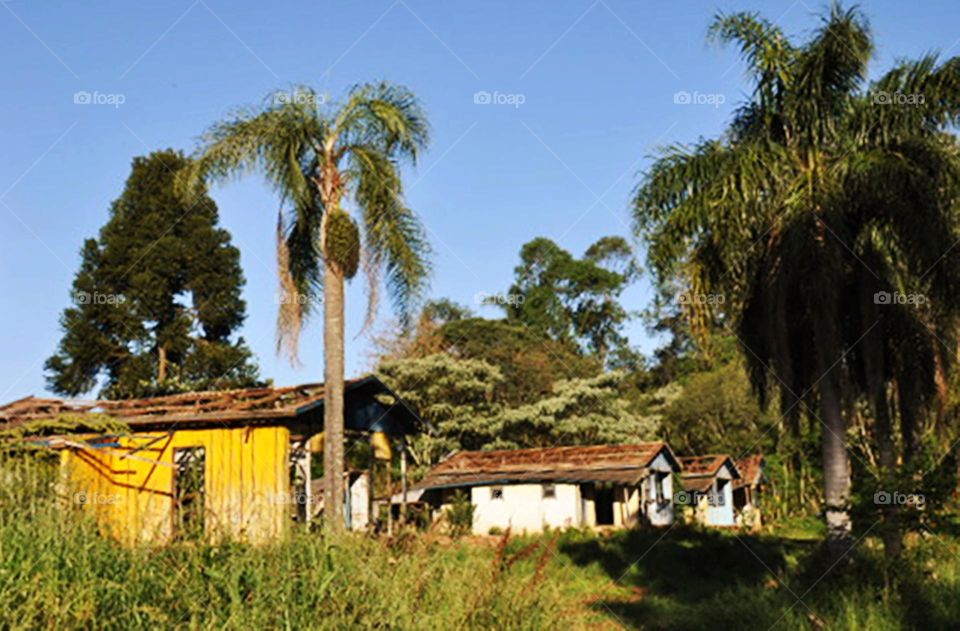 Casas no campo