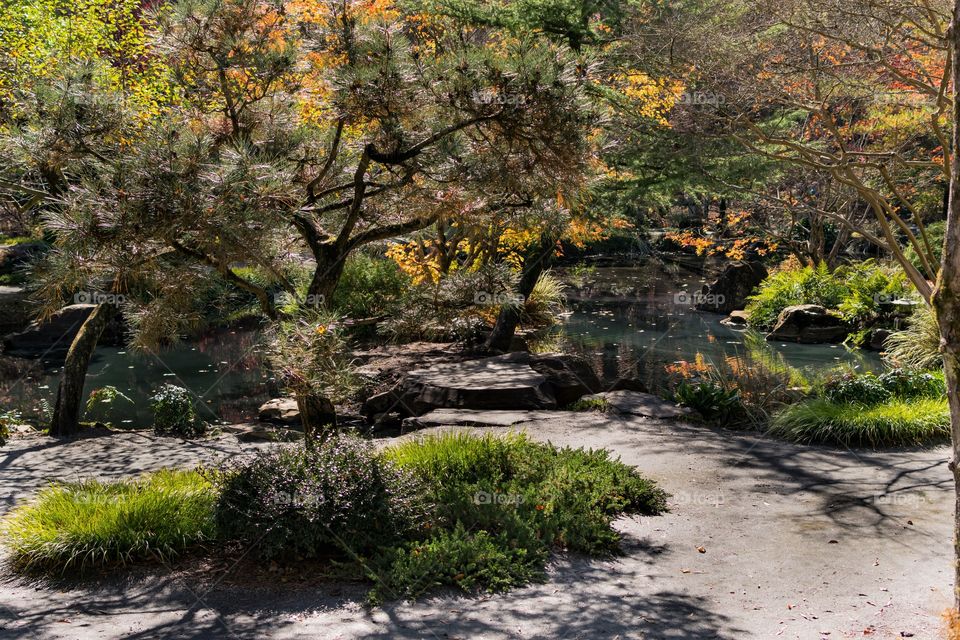 Japanese Garden 
