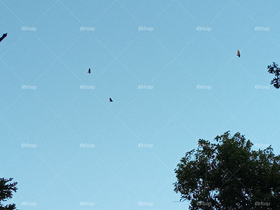 I'm getting a little nervous I wonder if they know I'm not dead yet? hahaha not today