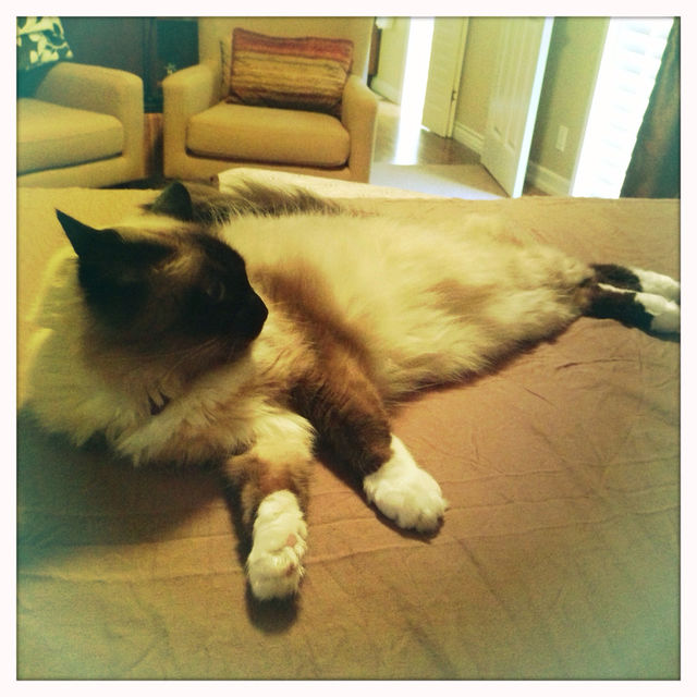 Lounging around