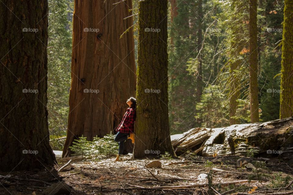 Forest contemplation 