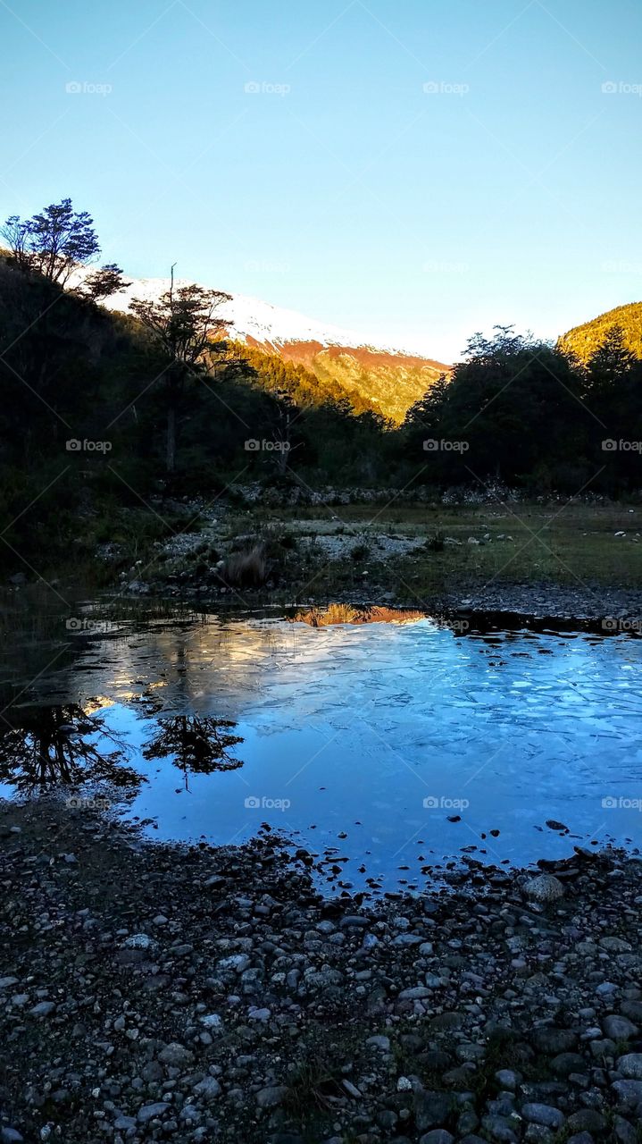 Reflection in a frozen puddle