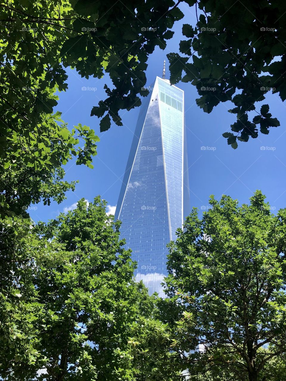 Freedom tower nyc