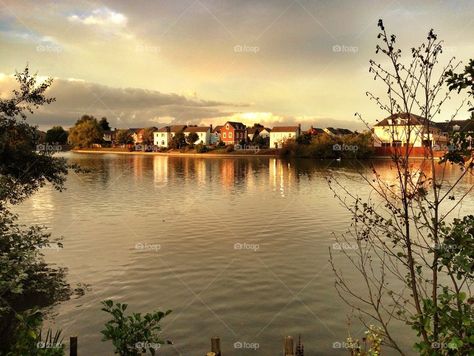 This evenings sunset dog walk at the lake!