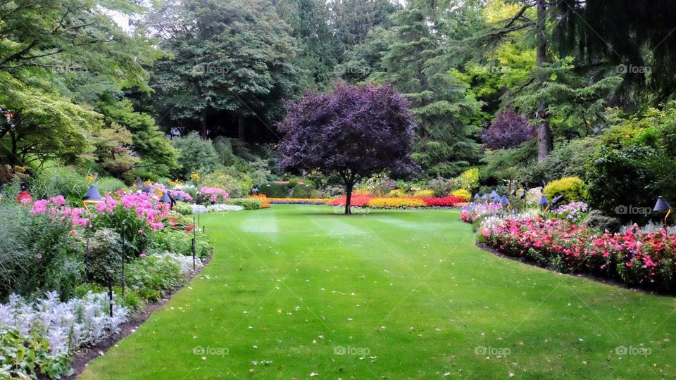 Butchart Gardens