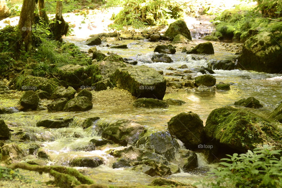 Nature in the best way.. Found this spot on vacation in France