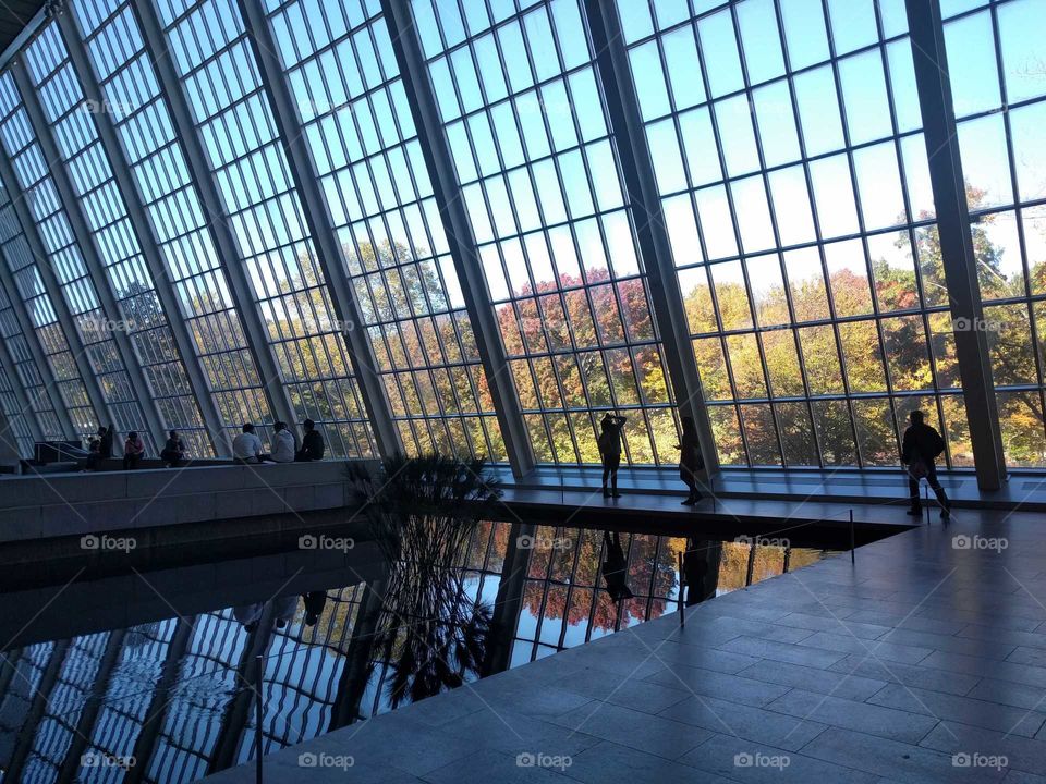 Autumn reflected at the MET