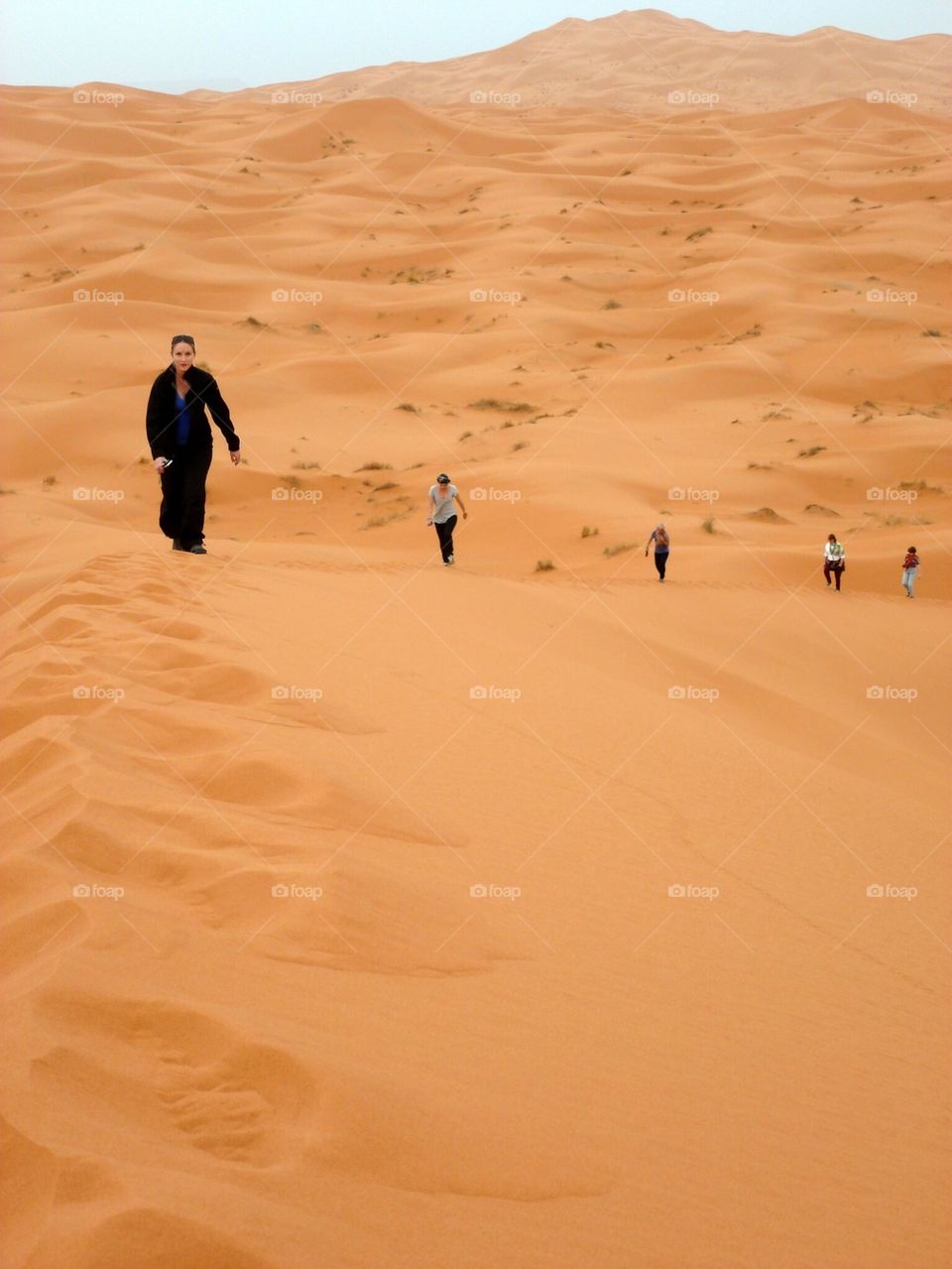 A Stroll in the Sand