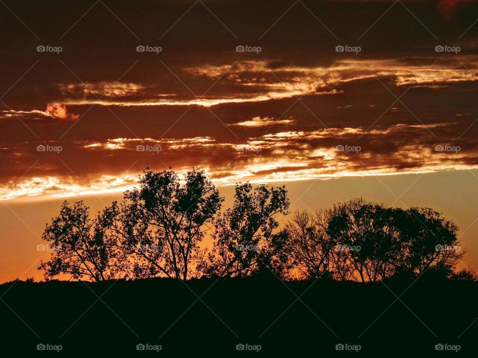 Tree line saying good night to an early fall sunset.
