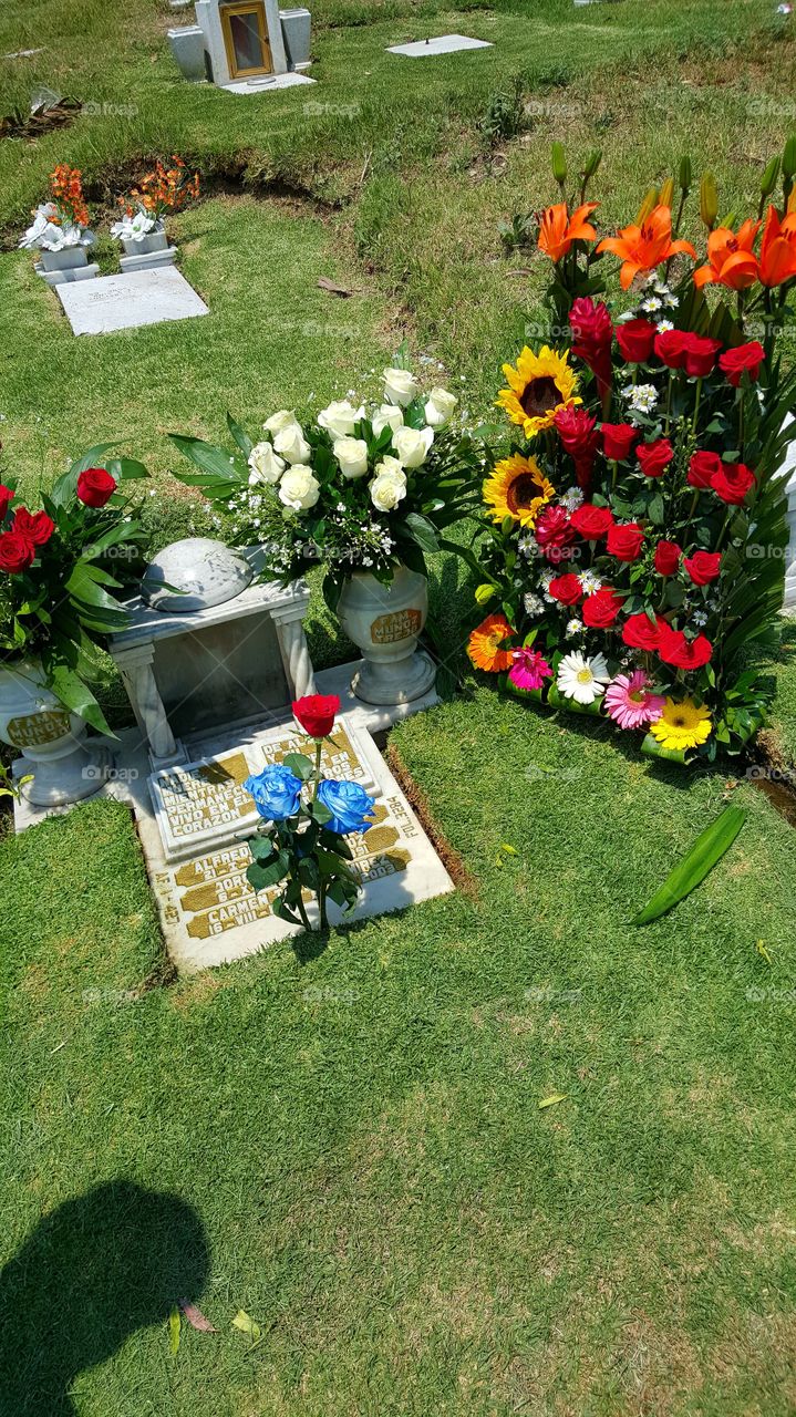 when need to think of the one's you lost