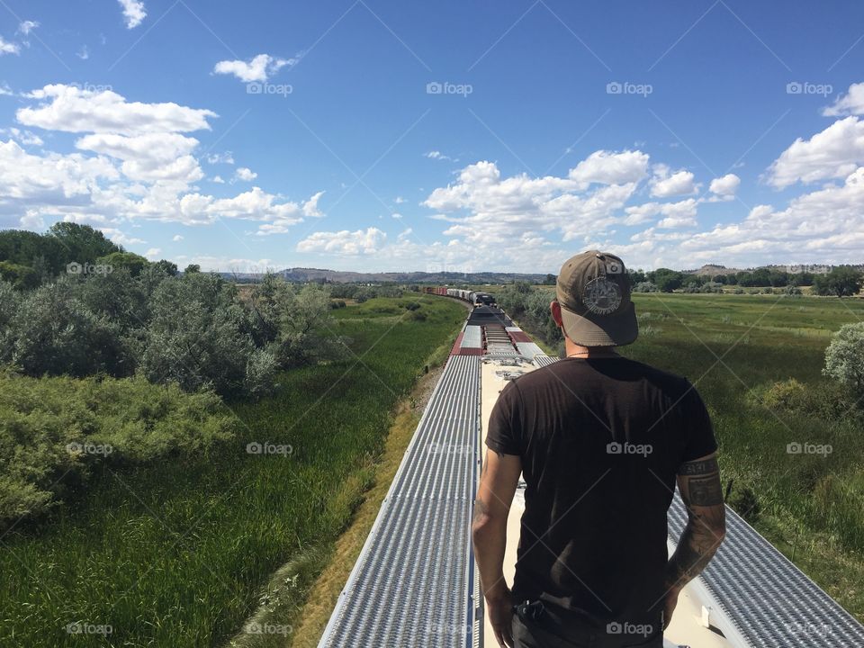 Landscape, Sky, Environment, Travel, Tree