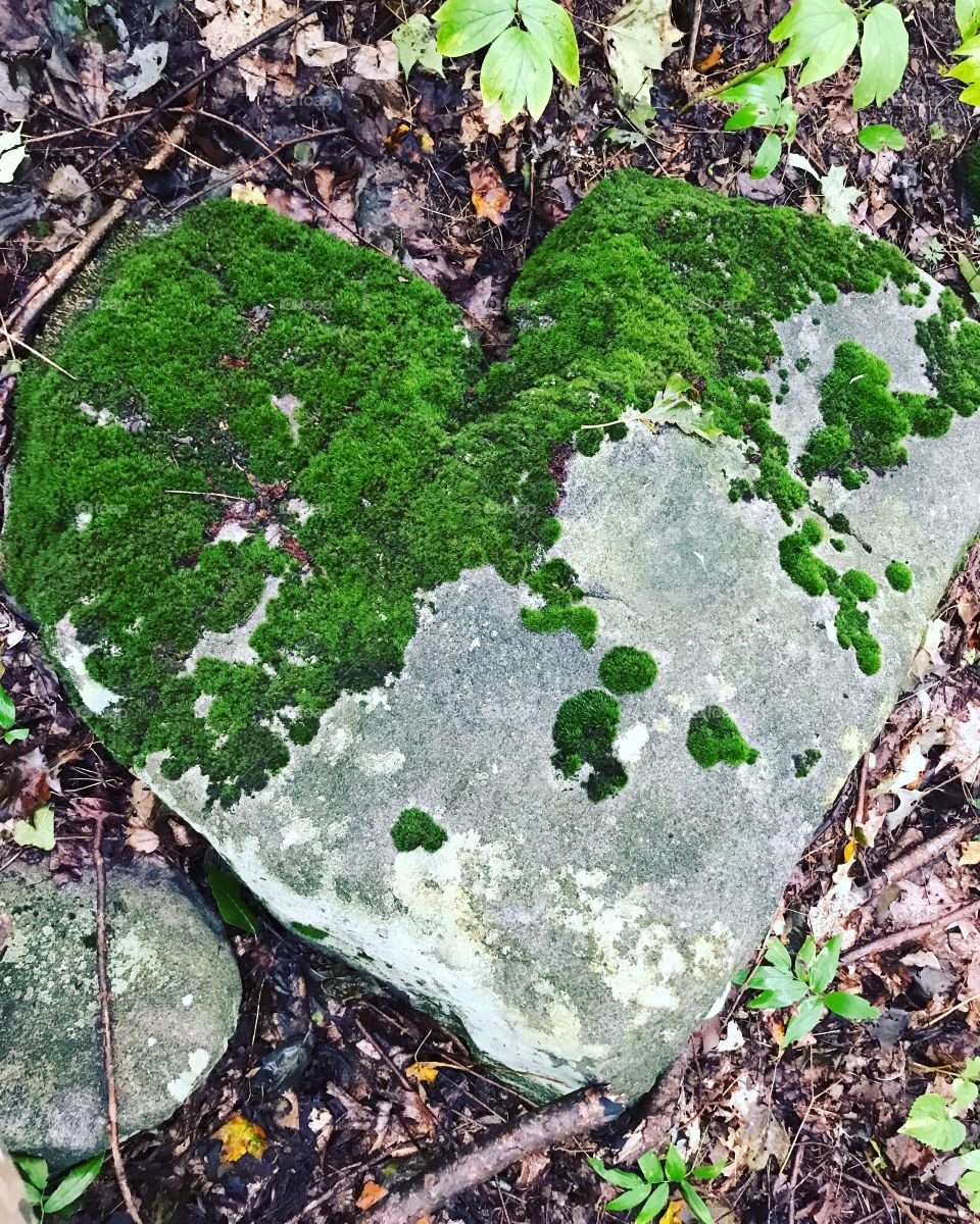 Amazing heart-shaped rock, found while hiking. 