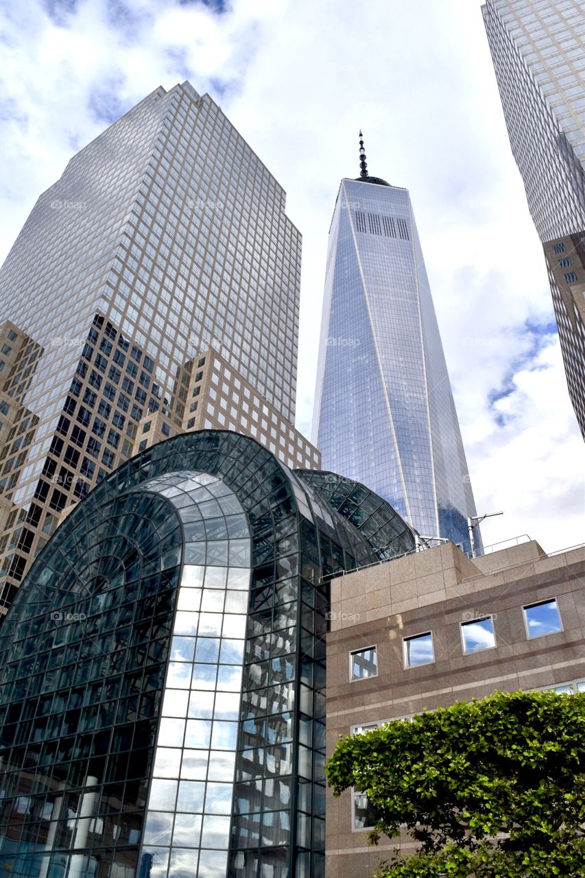 Let the Vacation Begin!