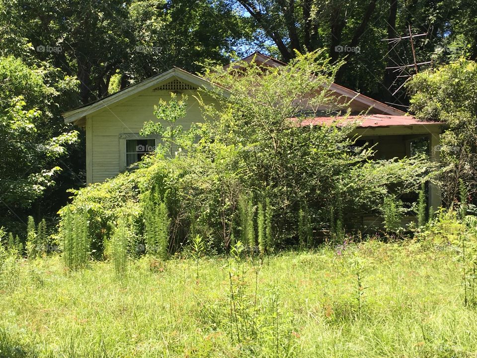 Abandon Grandmas House 