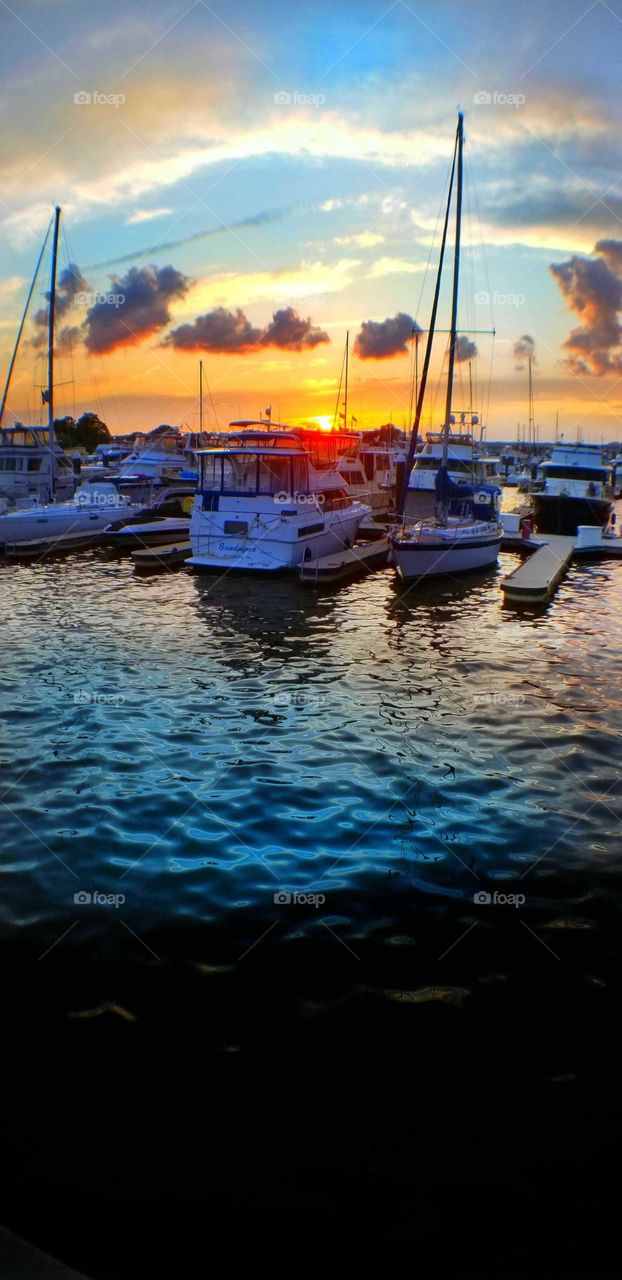 harbour sunset