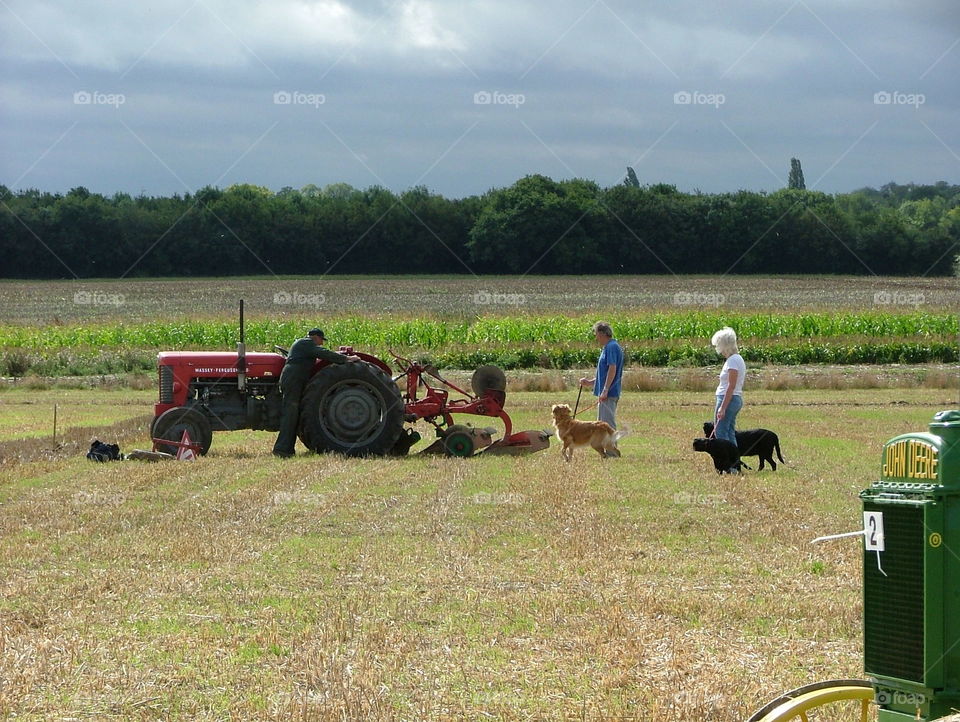 Ploughing competition 