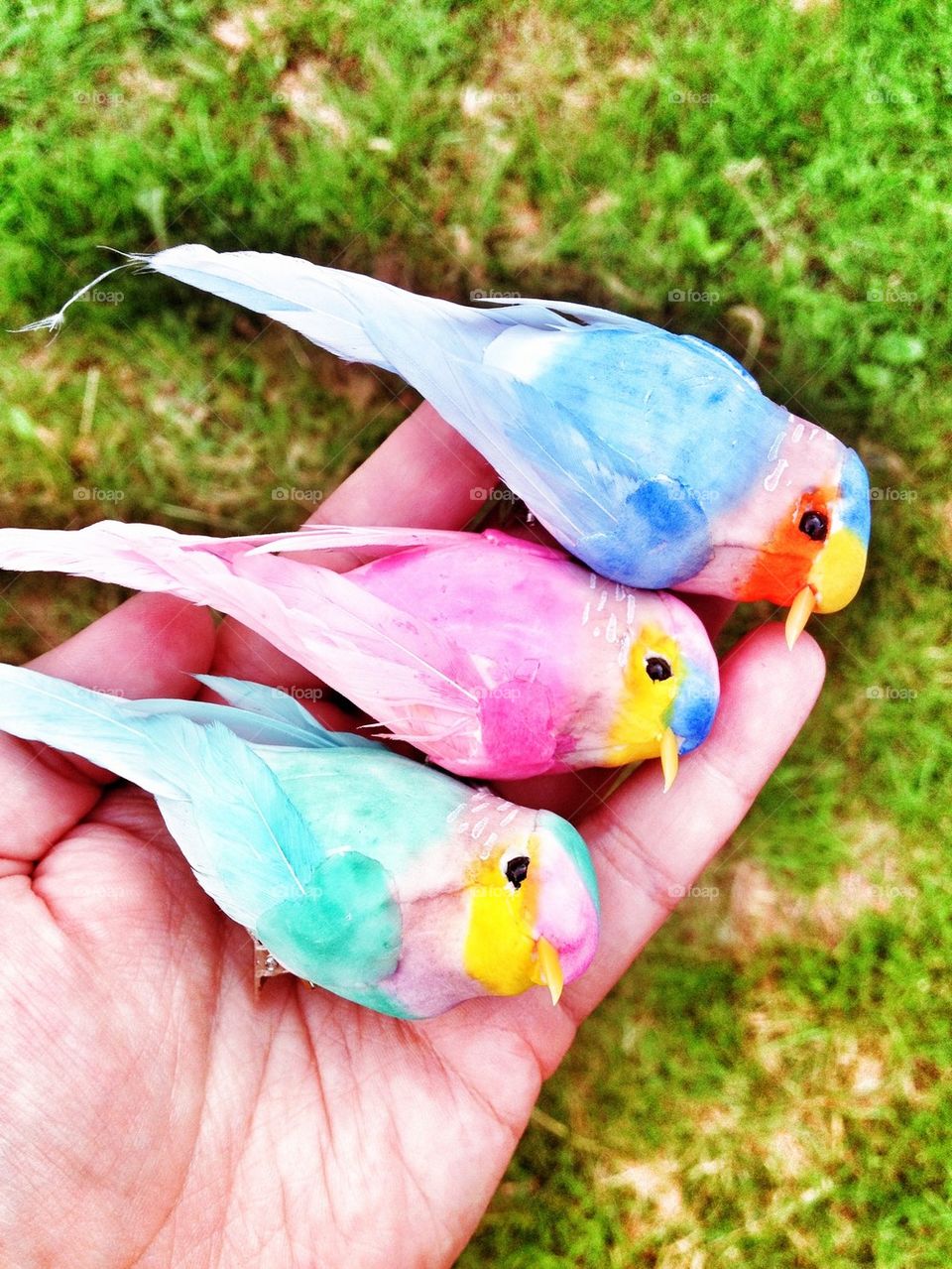 three birds in hand