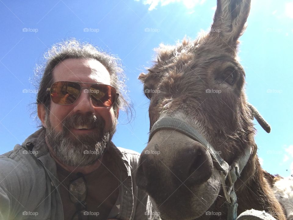 Selfie with donkey