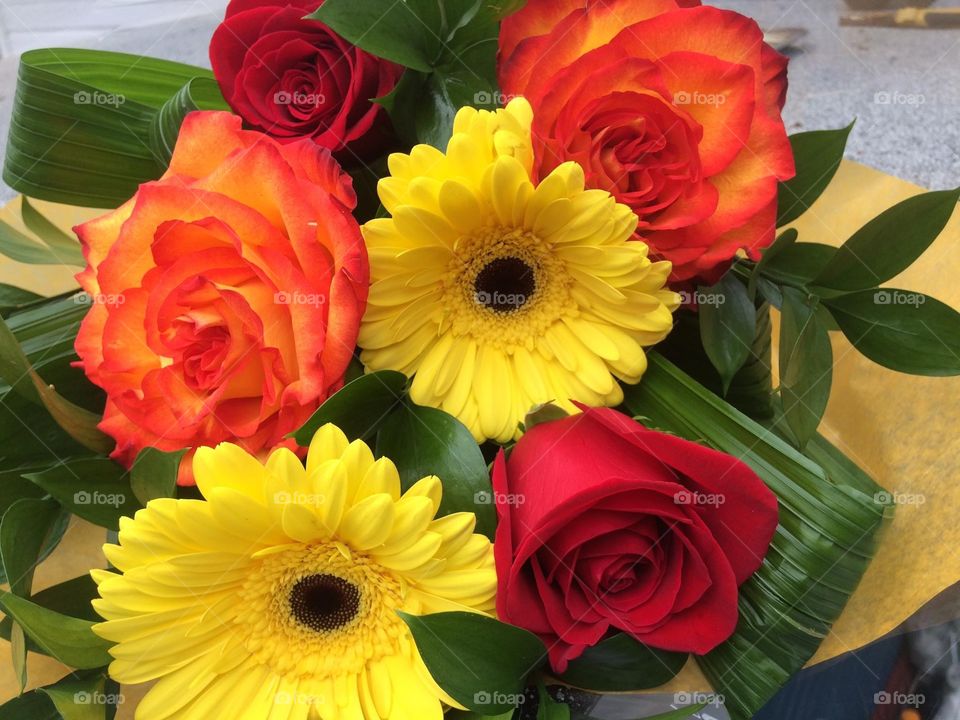 Colourful Bouquet 