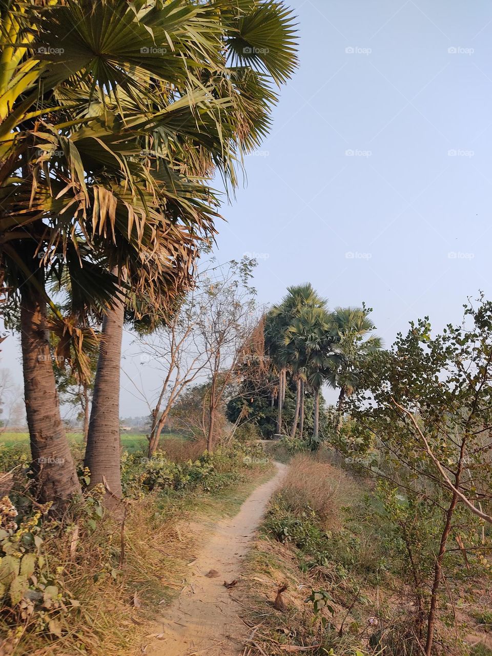 🥰👣👣👣👣👣📸