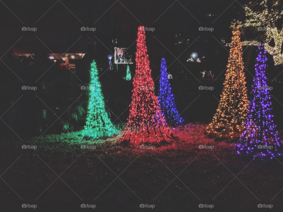 Trees made out of lights! 