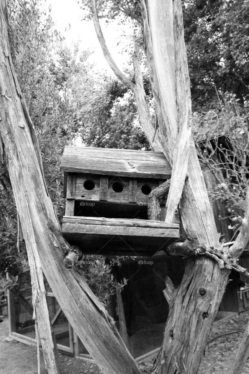 Old wooden birdhouse 