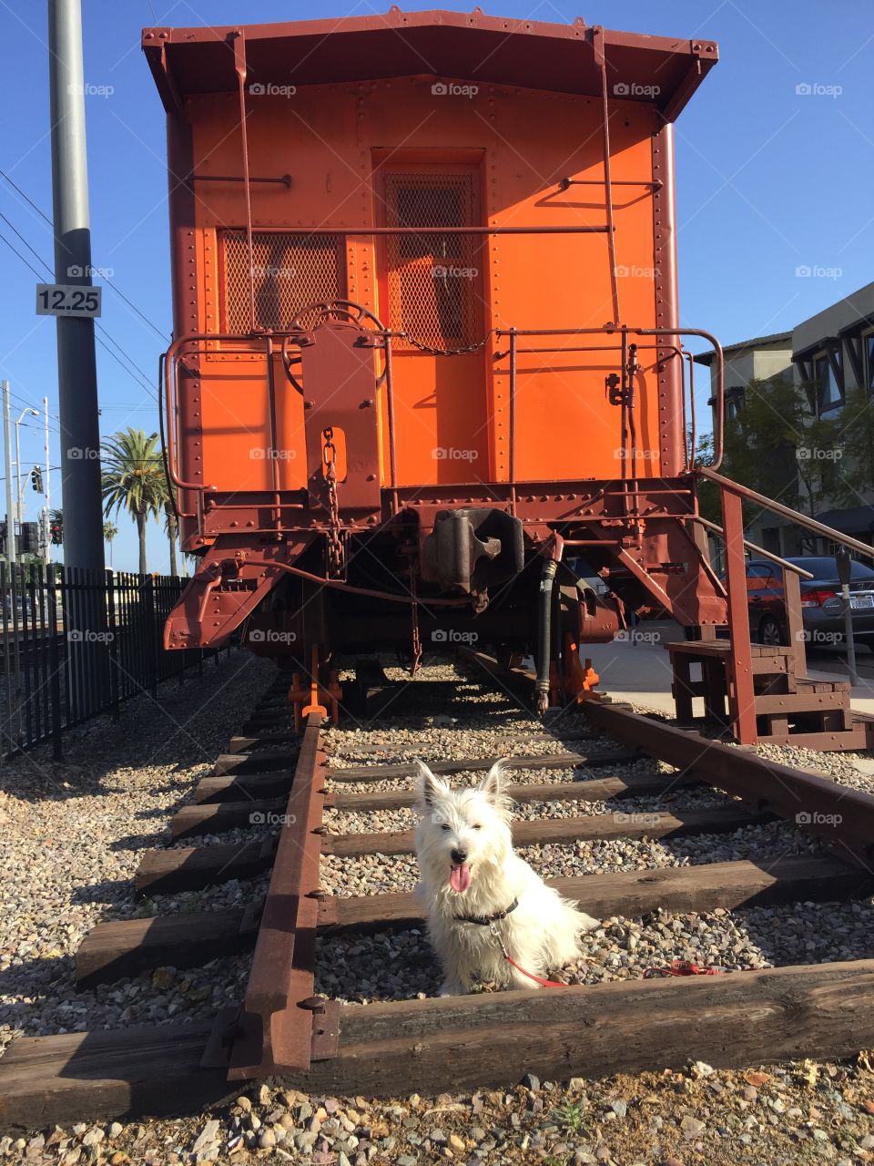 Sure hope this train stops soon!!