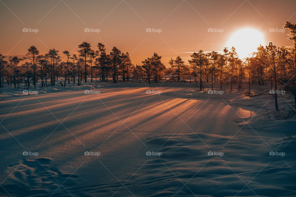 Sunrise. Winter. Snow.