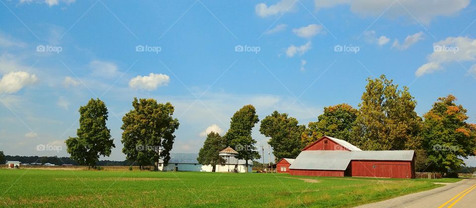 Country farm