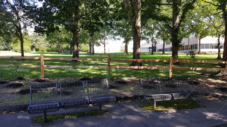 Benches in the Park