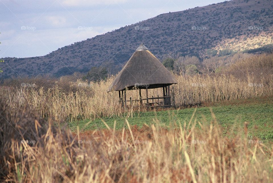 The hut in a middle of veldt