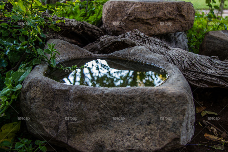 Bird bath made from rock with reflection