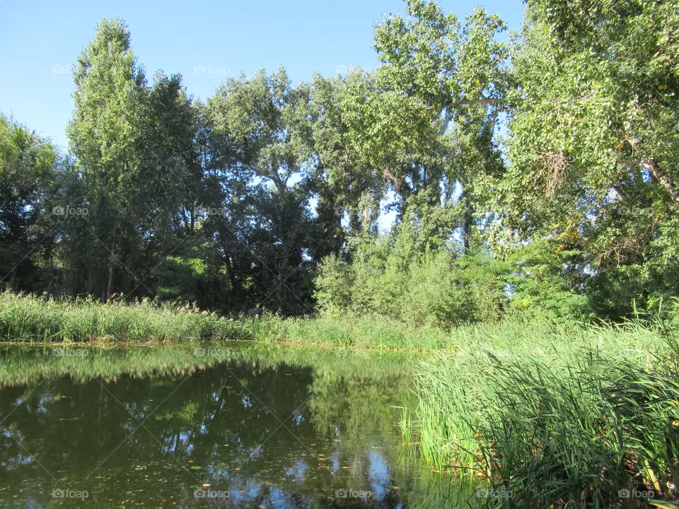 Lake