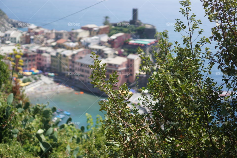 Green bushes with the view of the sea and Cinque Terre in the background 