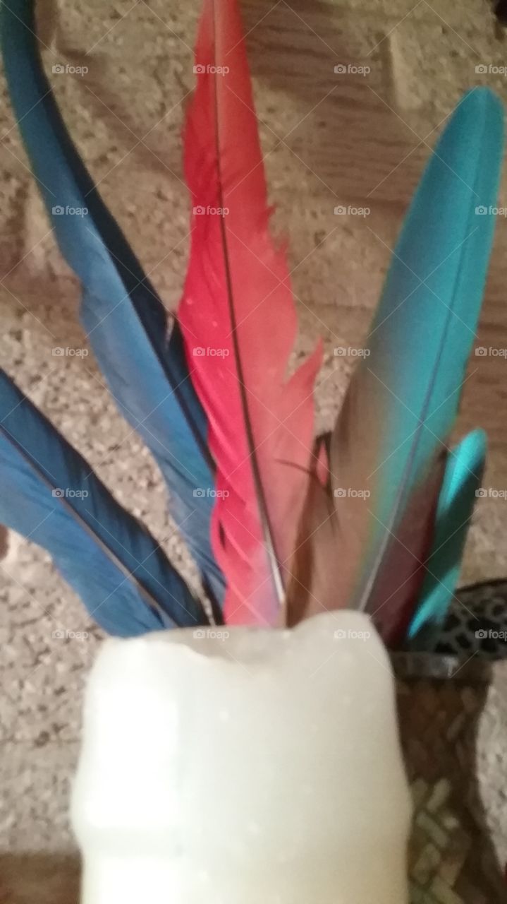 feathers