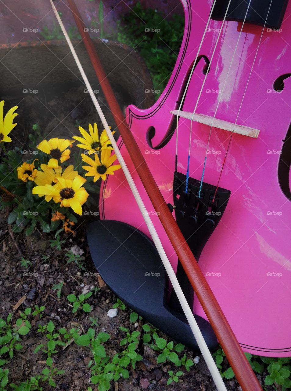 Flowers love music to.