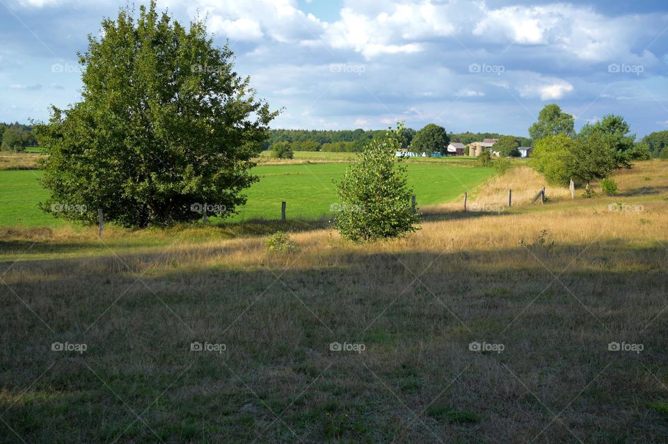 farm and Nature