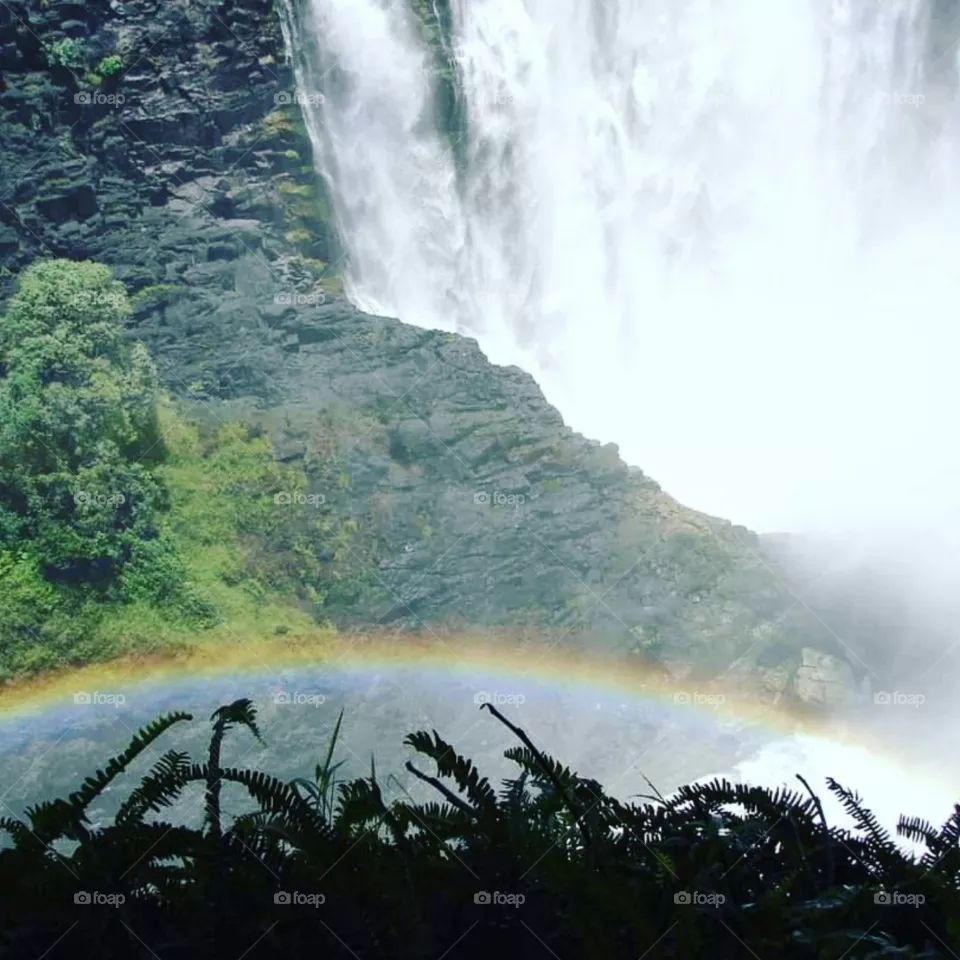 Vic falls