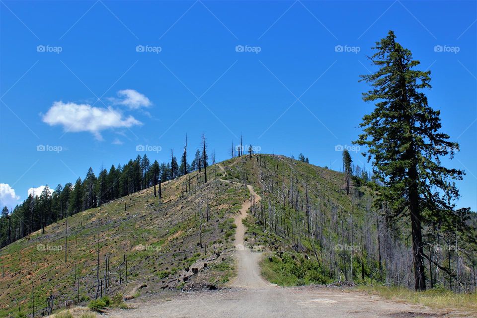 Trail to the top; West Coast United States