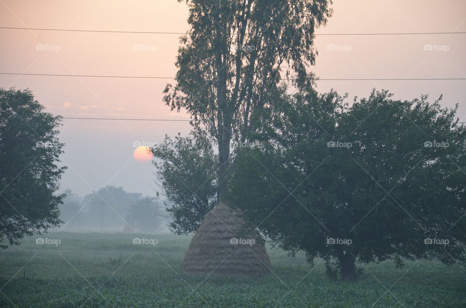 sunrise 
nature
landscape
delhi highway