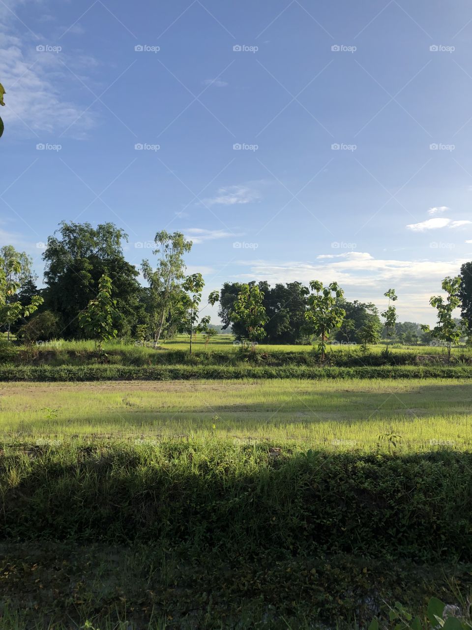 Holiday with my family, without COVID-19 