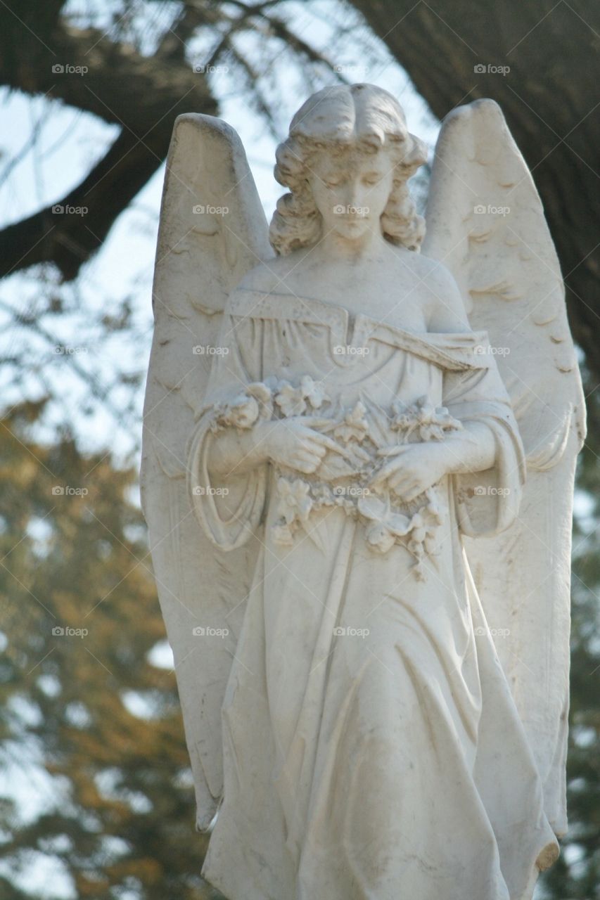 Angel in the cemetery 