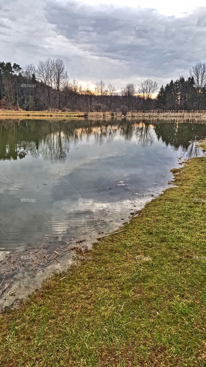 Evening at the pond