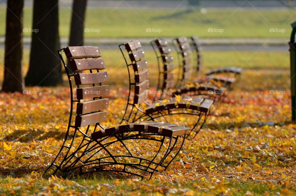 Empty benches in the autumn park