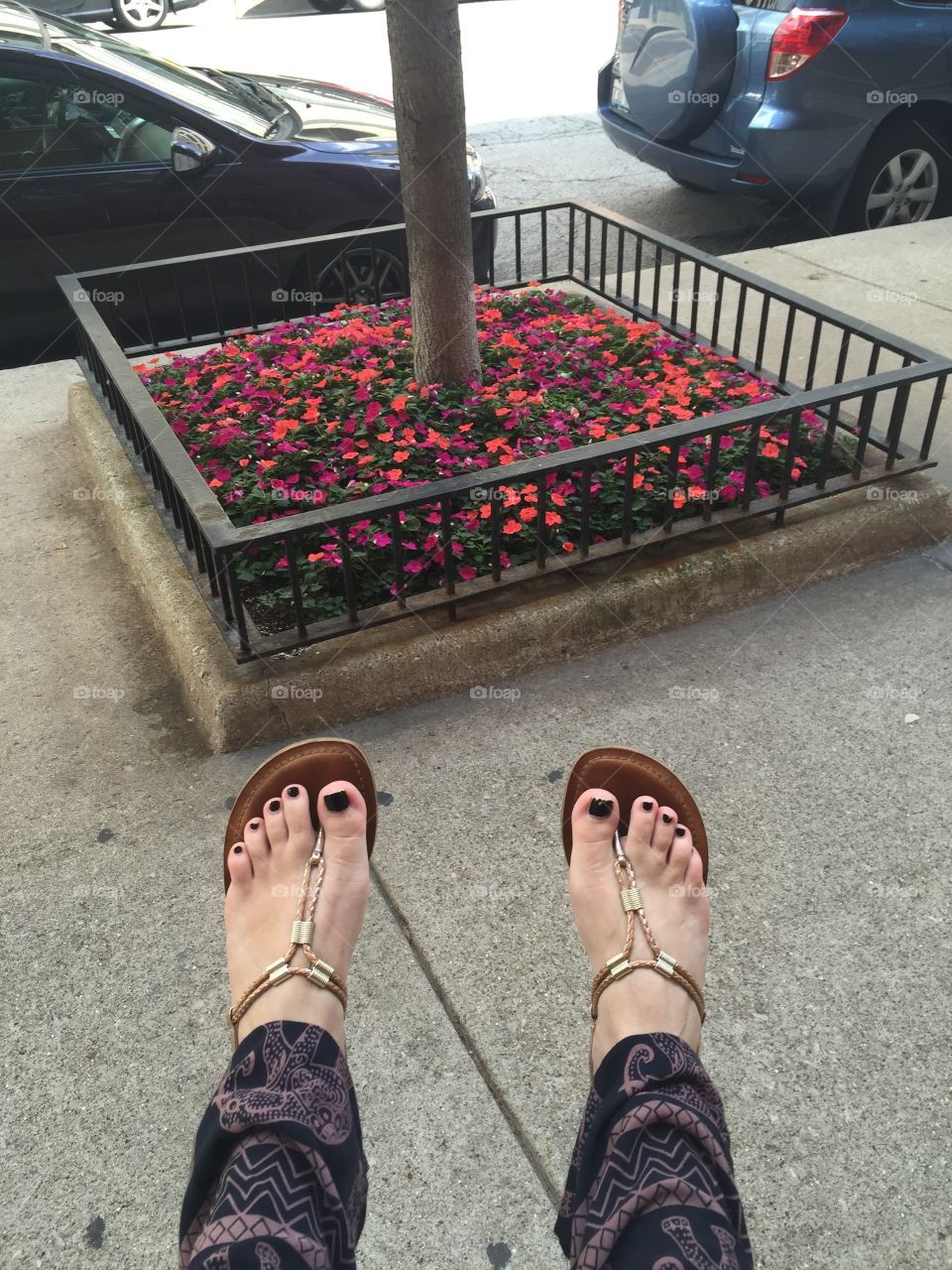 Flowers by my feet