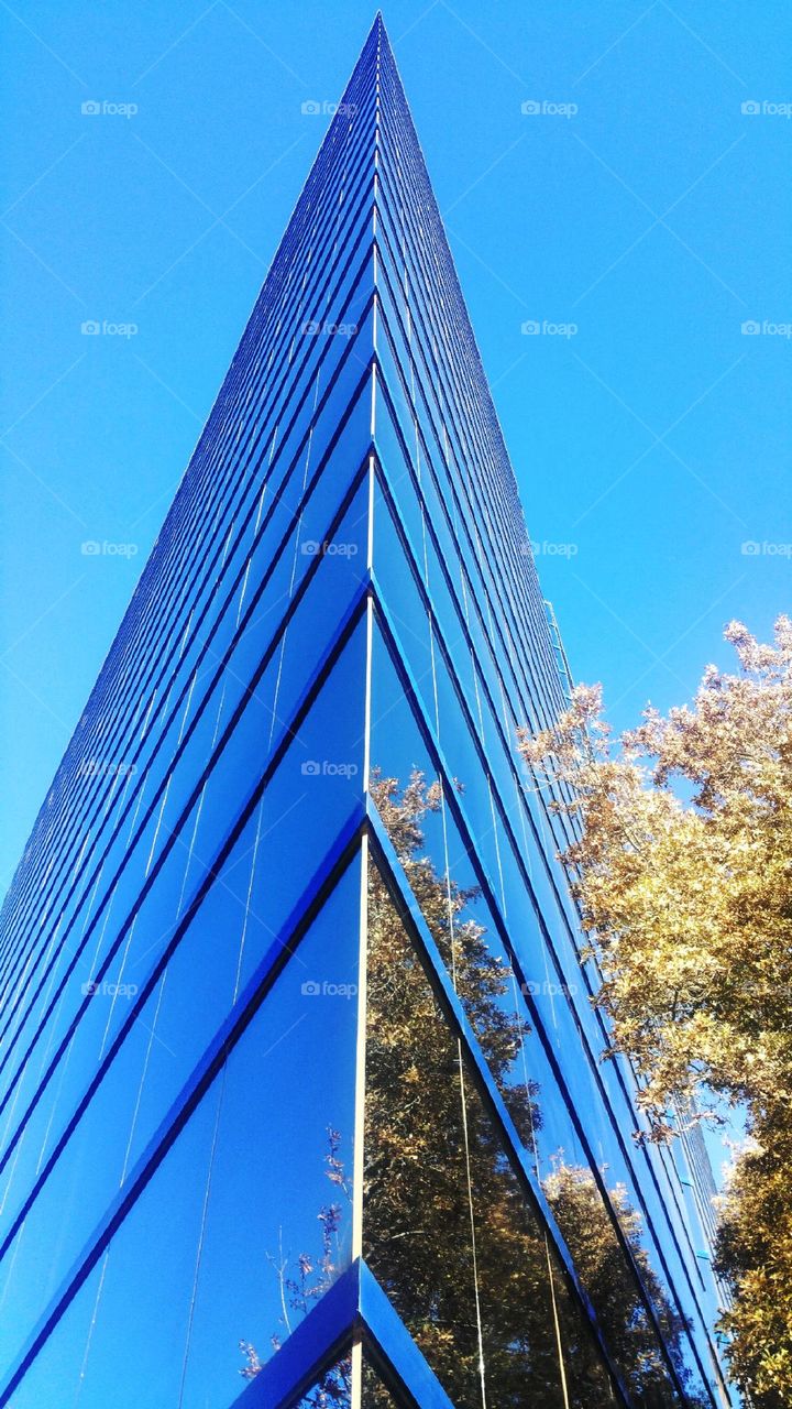 Geometrical Shaped Office Building