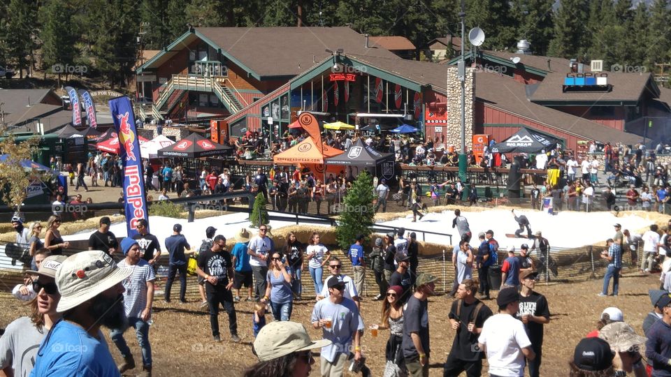 Hot dawgz and Handrails 2016